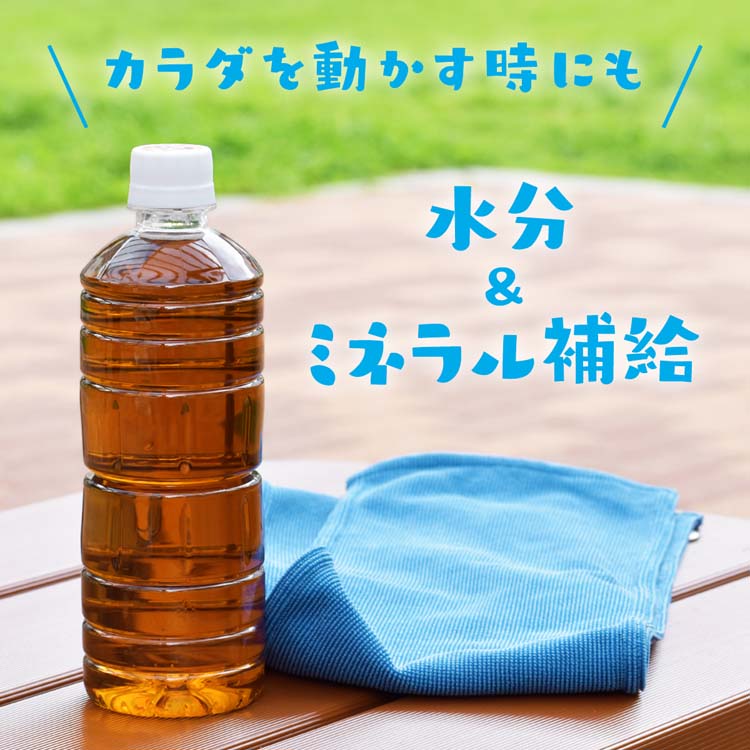 伊藤園 ラベルレス 健康ミネラルむぎ茶 ( 600ml*48本セット )/ 健康ミネラルむぎ茶 :523904:爽快ドリンク専門店 - 通販 -  Yahoo!ショッピング