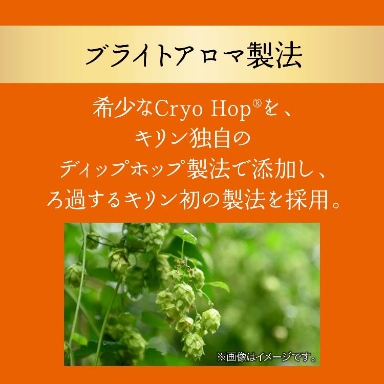 キリングッドエール ( 24本入×2セット(1本500ml) )/ グッドエール