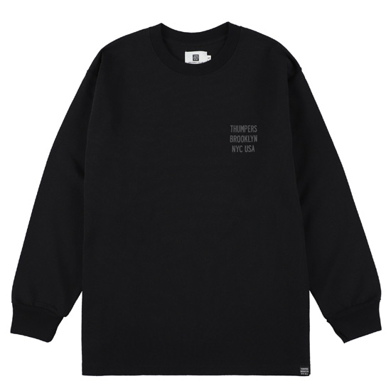 hysteric アメリカ国旗デザイン 長袖Tシャツ 69 カットソー 61mjVely79L._UF894,1000_QL80_.jpg