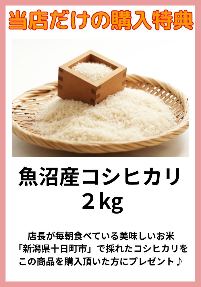 ヘッドホン型集音器 日本製 (フォンテック) Phontec 簡単操作で贈り物