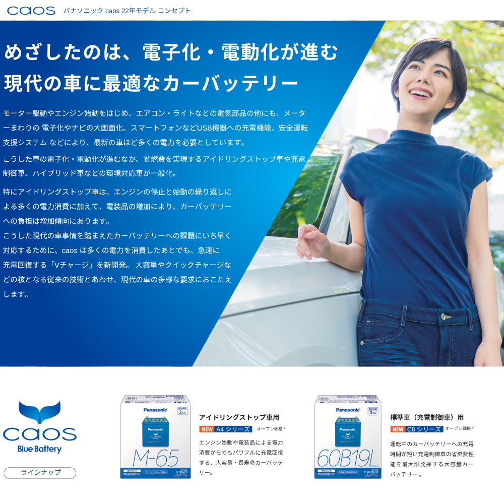 パナソニック　caos(カオス) ブルーバッテリー N-100D23L/C8 カオス N-100D23L/C8 Panasonic パナソニック caos カー