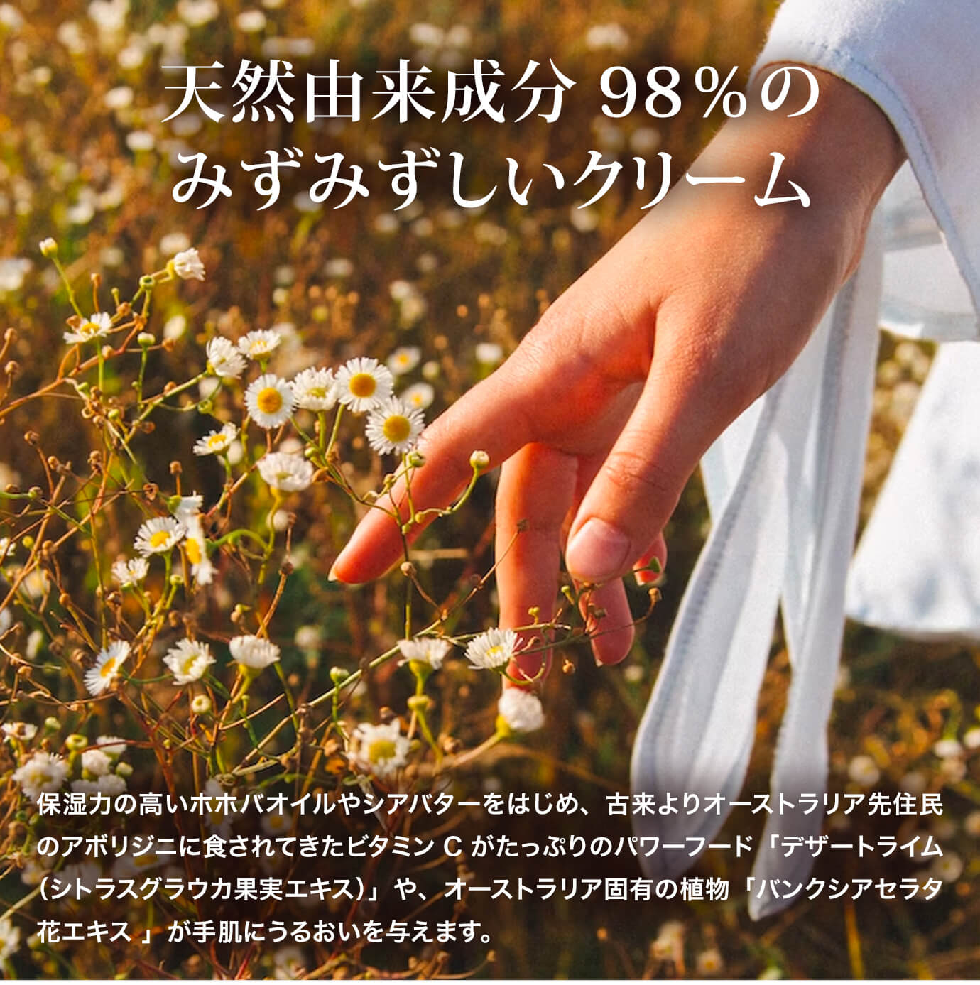 ○Countrylife Robin Rive作 ハンドメイドテディベア「アイス