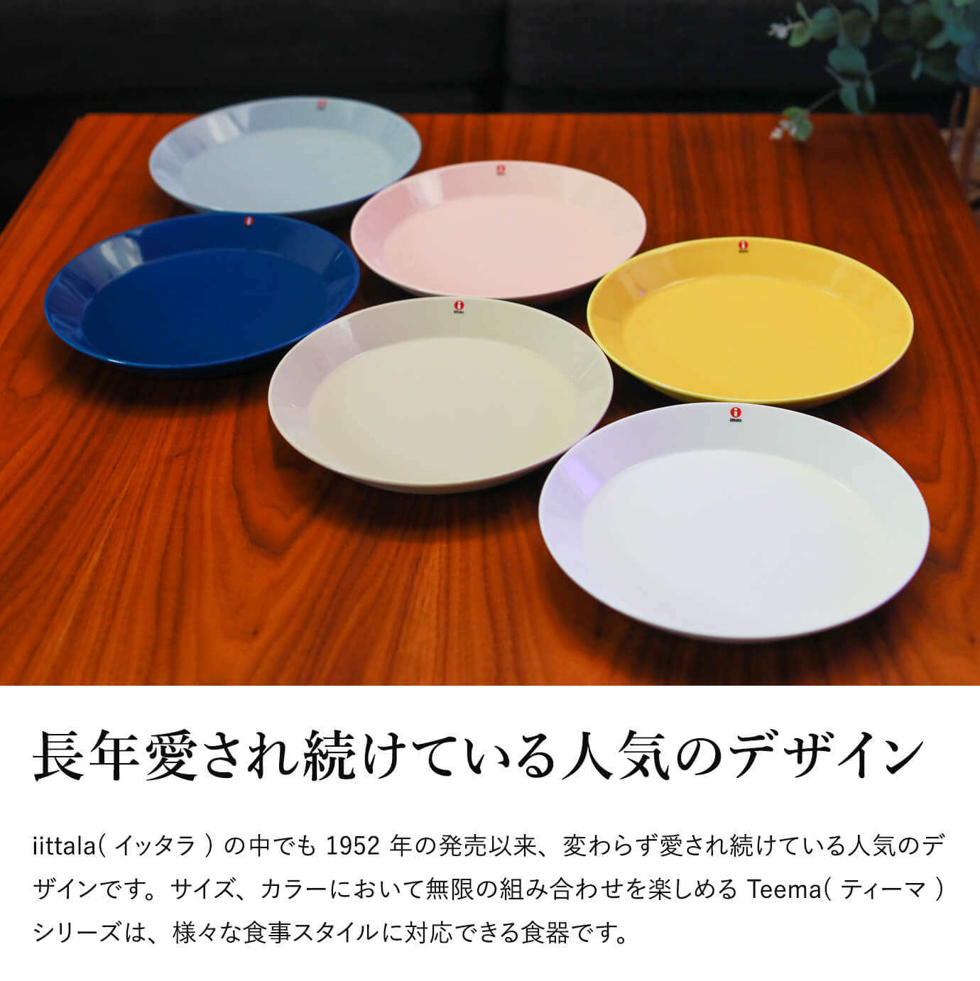 　TEEMA　イッタラ　ティーマ　6枚セット ティーマ Iittala Teema イッタラ プレート26cm 1枚 お皿 : 上質の