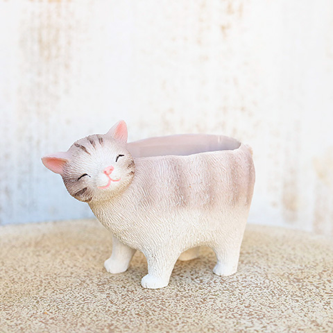 多肉植物2個×ミニプランターセット リールシネット ポット 培養土付き