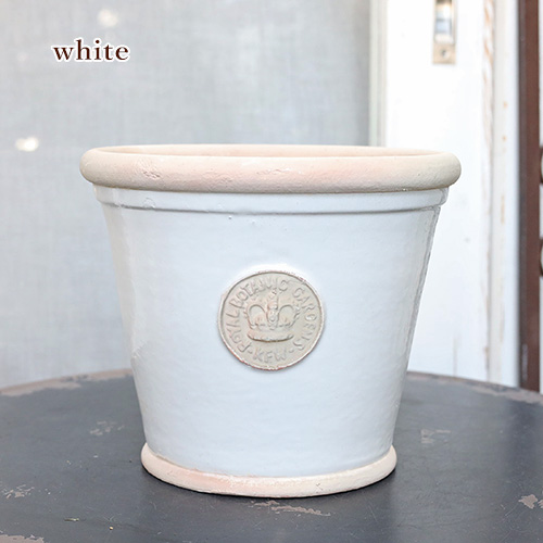 ガーデニング雑貨 陶器鉢 キューガーデン ラピスキューポット ホワイト