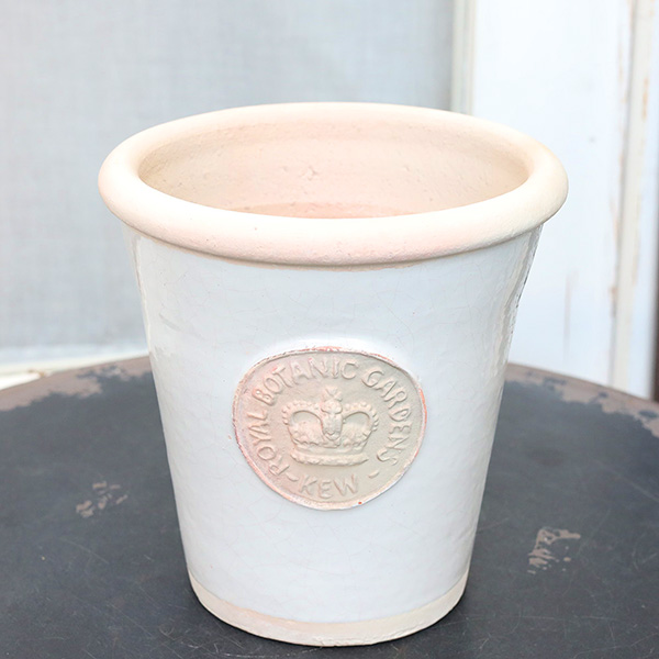 ガーデニング雑貨 陶器鉢 キューガーデン リスピーキューポット