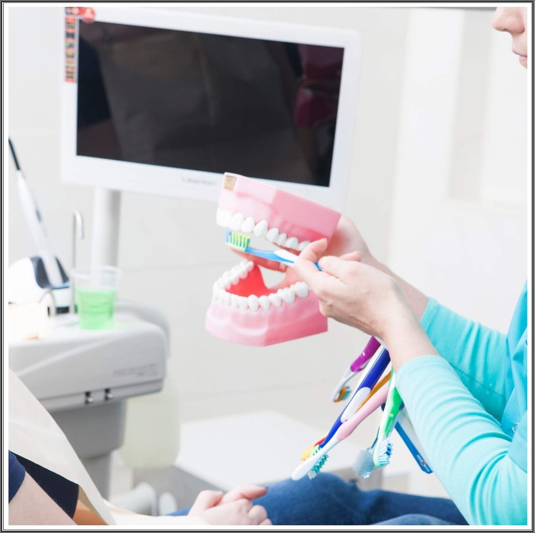 歯科模型 歯列模型 小型・ピンク インプラント ブリッジ 差し歯 歯医者