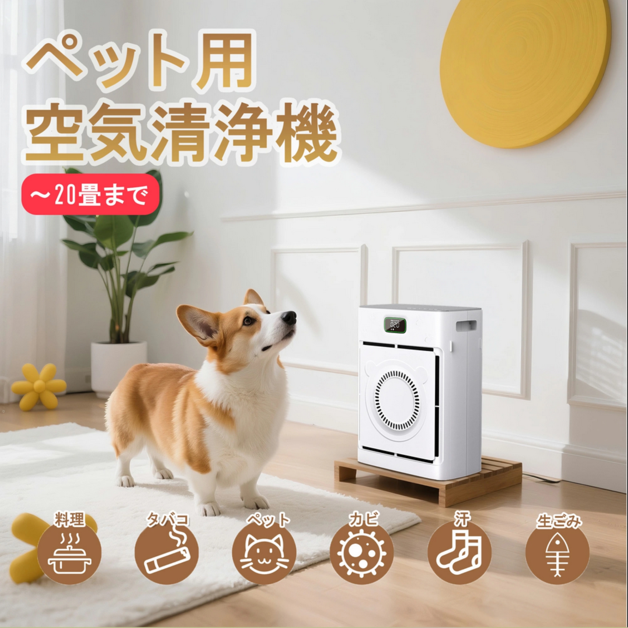 ペット用空気清浄機 猫 犬 多頭飼い｜浮毛 吸引 脱臭 アンモニア