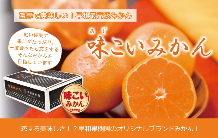 みかん 有田みかん 産地直送 味こいみかん中玉 サイズ 3kg 送料無料 国産 早和果樹園 和歌山 高級みかん  :031-004:早和果樹園!店 通販 