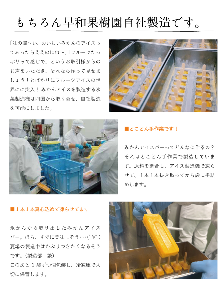 早和果樹園のみかんアイスバー
