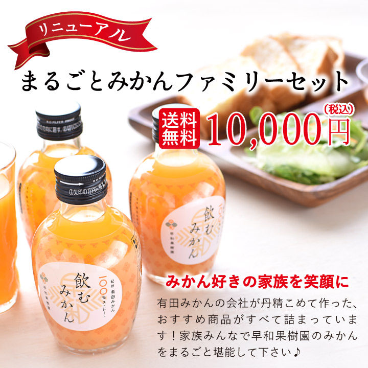 みかん810様　4点おまとめ専用ページ みかん缶詰 425g×8缶 マンダリンオレンジ 1ケース 4号缶