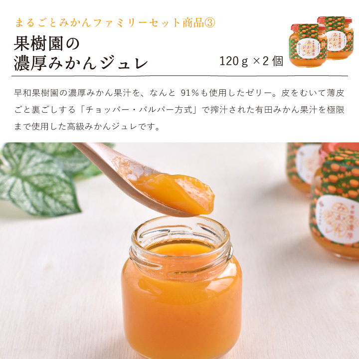 みかん810様　7点おまとめ専用ページ KS / みかん缶 業務用ケース(830g×12缶): フルーツ加工品 | 製菓