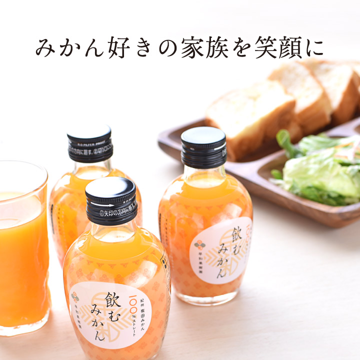 早和果樹園 ギフト 10000円 贈り物 みかん ジュース ゼリー ジャム