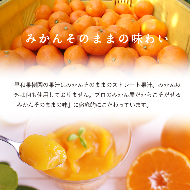 みかんそのまま