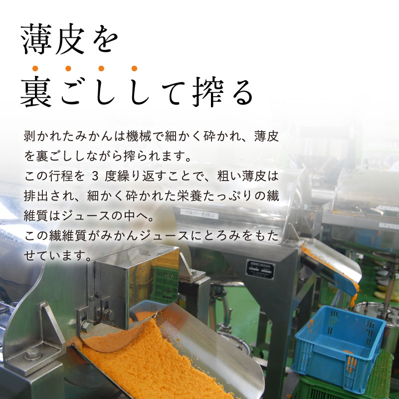 裏ごし