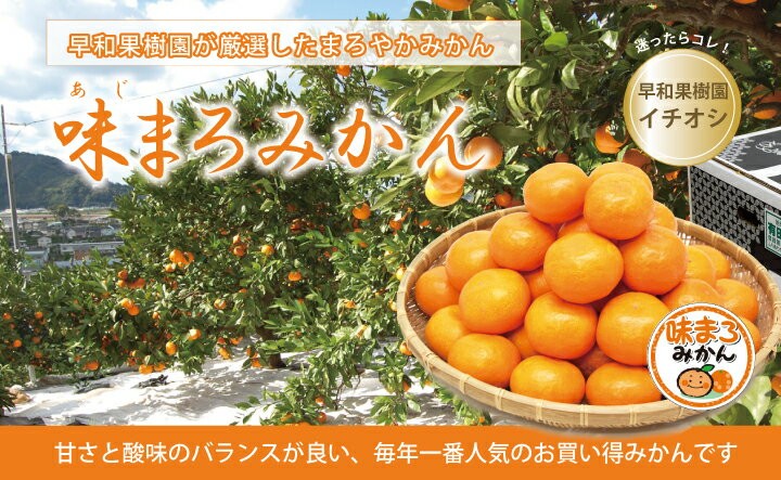 早和果樹園 お歳暮 みかん 有田みかん 産地直送 味まろみかん 3kg