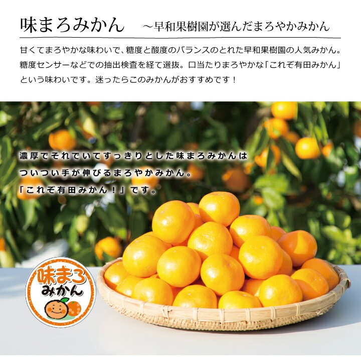 早和果樹園 お歳暮 みかん 有田みかん 産地直送 味まろみかん 10kg