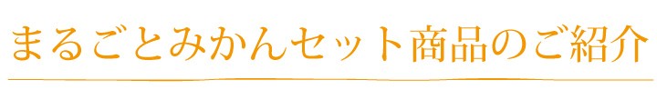 早和果樹園まるごとセット