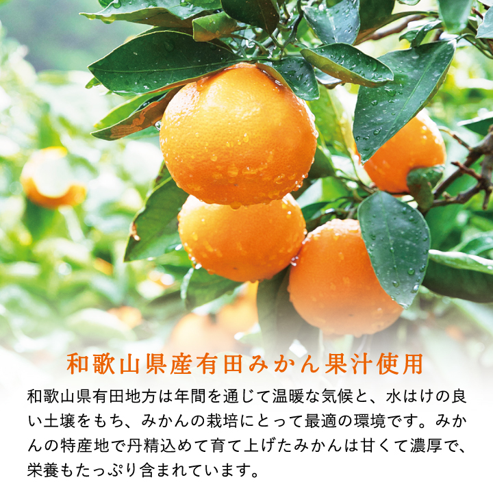 有田みかん