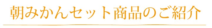 朝のみかんセット