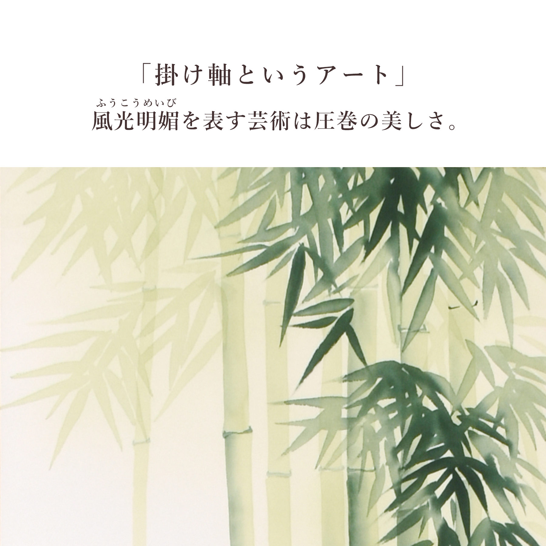 掛け軸「竹に雀」 富岡蘇峰 尺五立 サイズ：54.5×190cm 桐箱付 掛け軸
