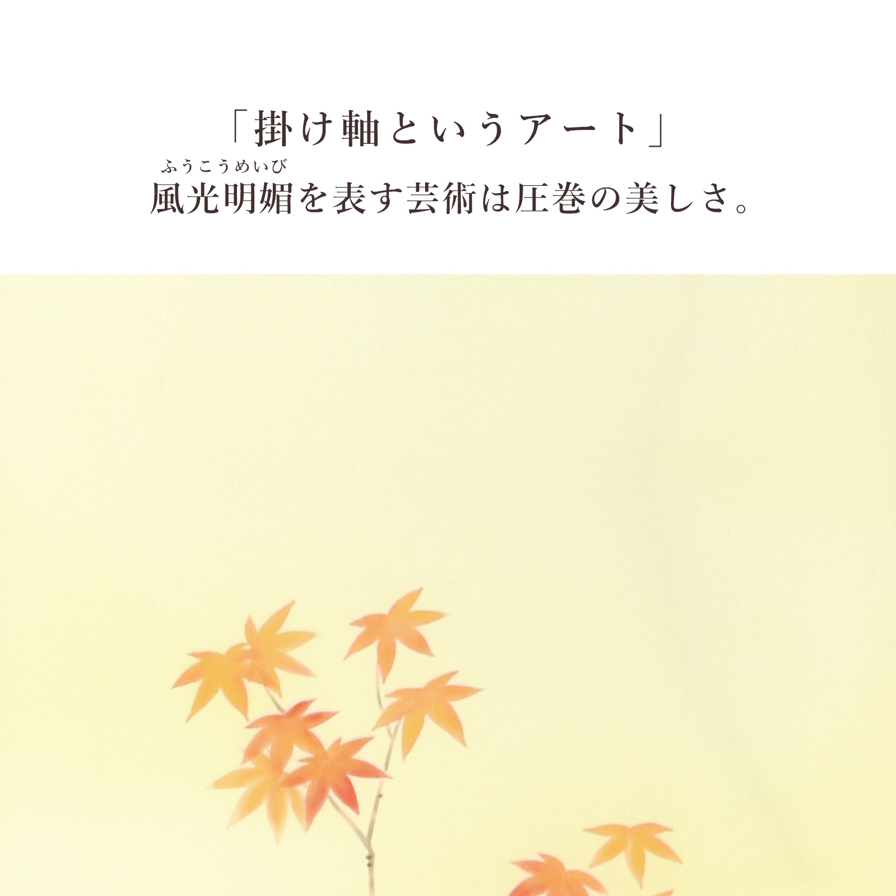 掛け軸「紅葉に小禽」 富岡蘇峰 尺五立 サイズ：54.5×190cm 桐箱