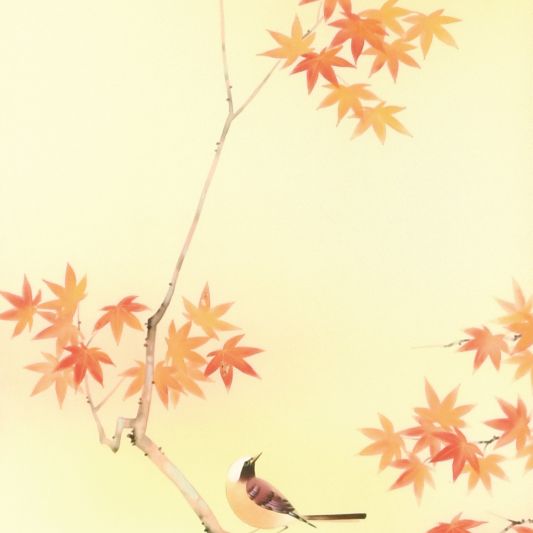 真作/小山田典彦/紅葉小禽図/金泥/桐共箱太巻箱付/布袋屋掛軸HI-278 真作/小山田典彦/紅葉小禽図/金泥/桐共箱太巻箱付/布袋屋掛軸HI-278