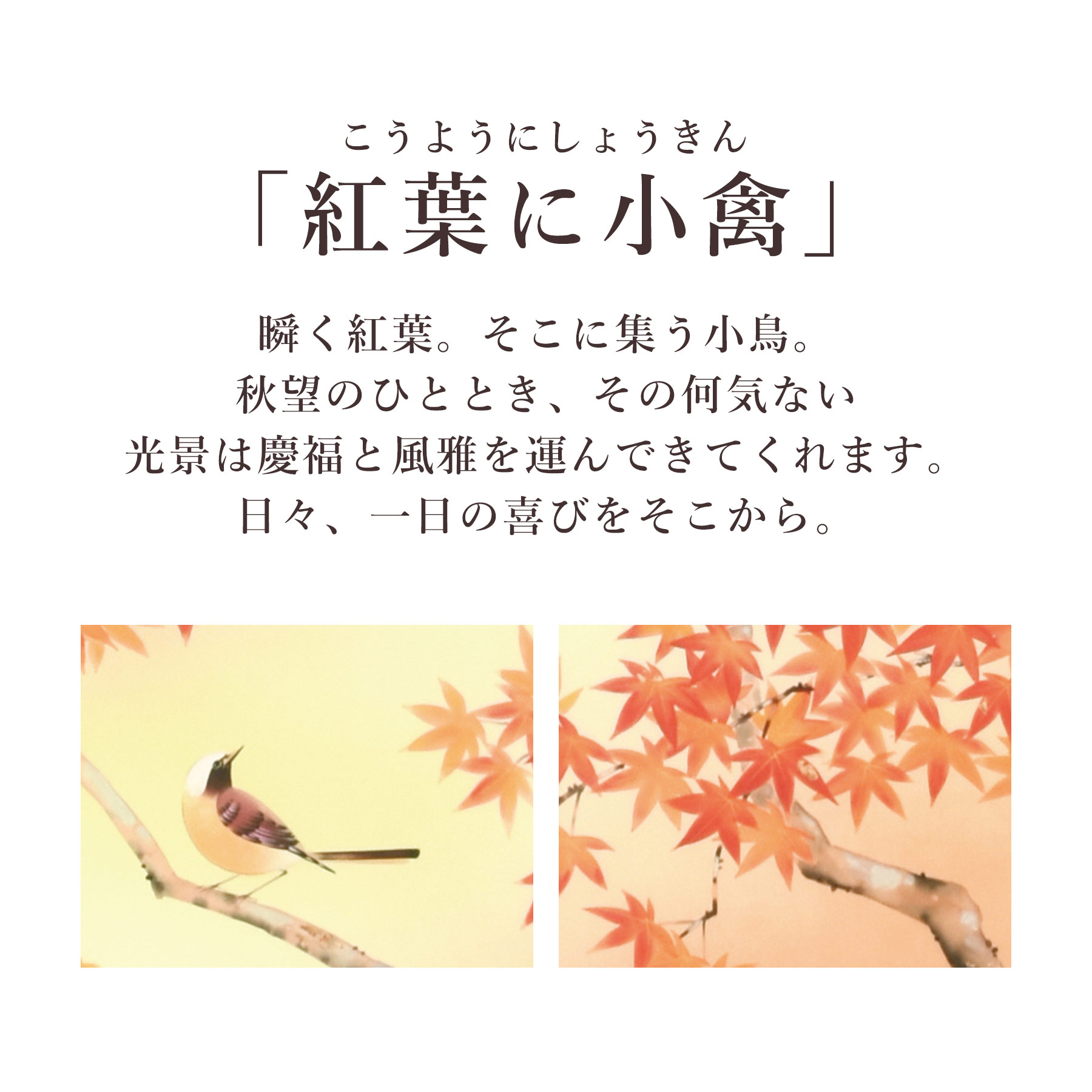 掛け軸 掛軸 「紅葉に小禽」 富岡蘇峰 尺五立 サイズ：54.5×190cm 桐箱