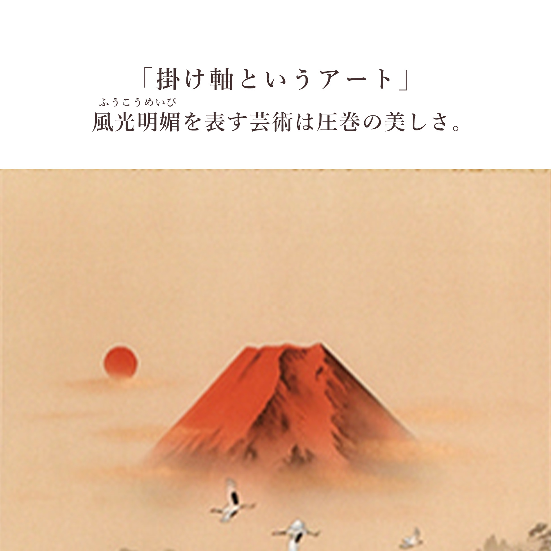 日本画　掛け軸　木箱付き 掛け軸「十六全図」 太田玉芳 尺五立 サイズ：54.5×190cm 桐箱付