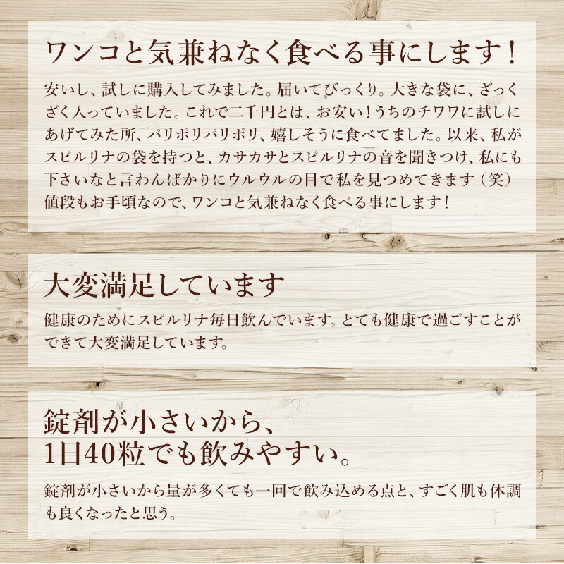 スピルリナ100% 2400粒 6袋購入で1袋無料プレゼント サプリメント 藻