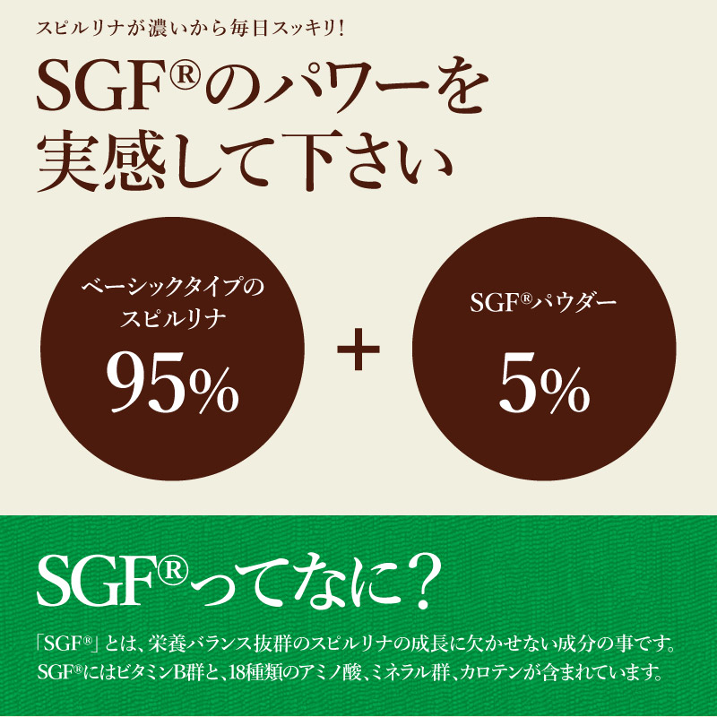 SGF強化スピルリナ100% 1800粒 サプリメント 藻 BCAA 健康食品 Spirulina 【税込3,000円以上送料無料】 ポイント利用 爆買 関連画像5