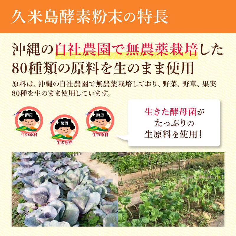 スピルリナ久米島酵素 1200粒 ダイエットサプリ 藻 健康食品 Spirulina｜sp100｜14