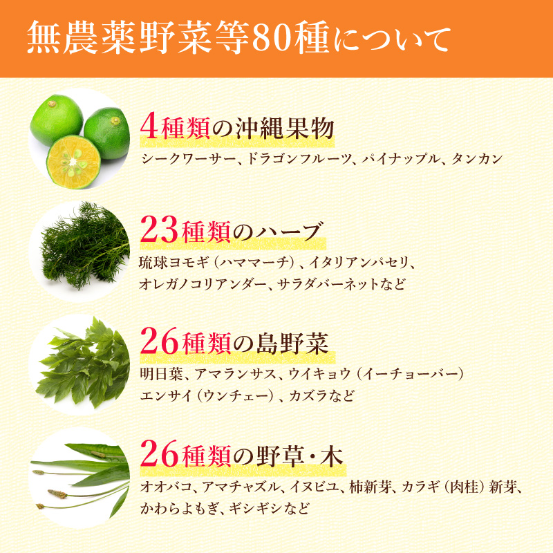 スピルリナ久米島酵素 1200粒 ダイエットサプリ 藻 健康食品 Spirulina｜sp100｜15