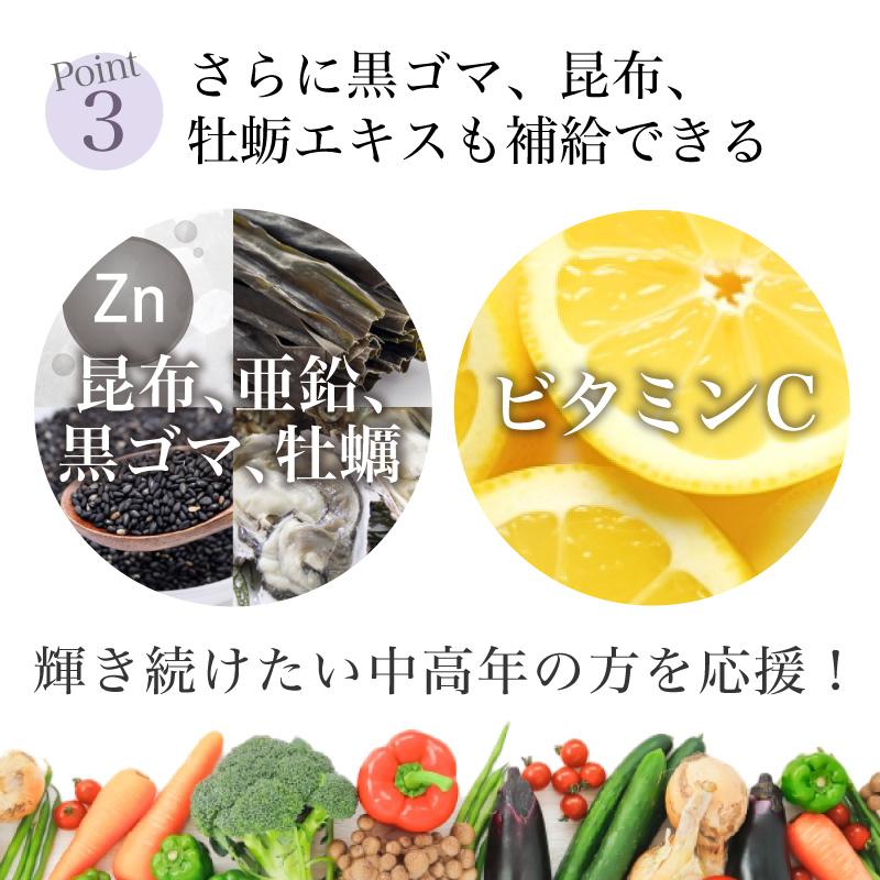 GM黒髪サポート・スピルリナ配合サプリ サプリメント 藻 健康食品 Spirulina｜sp100｜07