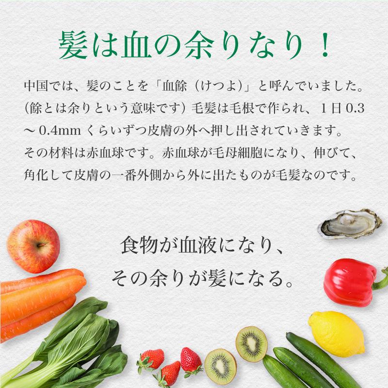 GM黒髪サポート・スピルリナ配合サプリ サプリメント 藻 健康食品 Spirulina｜sp100｜08