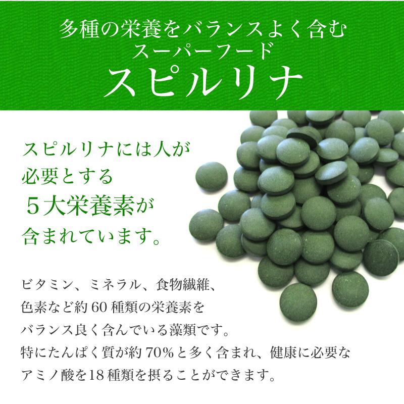 GM黒髪サポート・スピルリナ配合サプリ サプリメント 藻 健康食品 Spirulina｜sp100｜10