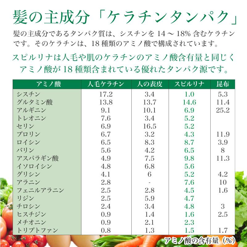 GM黒髪サポート・スピルリナ配合サプリ サプリメント 藻 健康食品 Spirulina｜sp100｜11