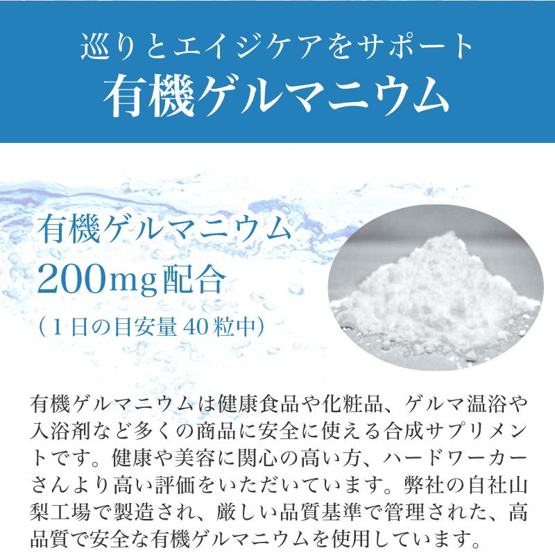 GM黒髪サポート・スピルリナ配合サプリ サプリメント 藻 健康食品 Spirulina｜sp100｜12