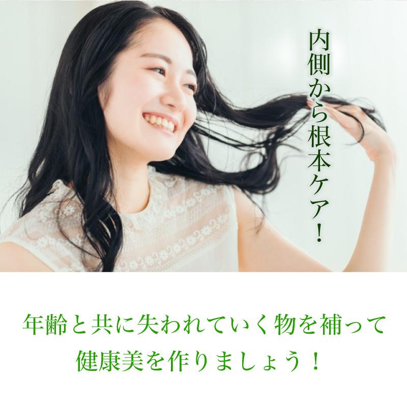 GM黒髪サポート・スピルリナ配合サプリ サプリメント 藻 健康食品 Spirulina｜sp100｜19