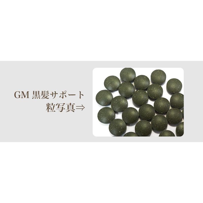 GM黒髪サポート・スピルリナ配合サプリ サプリメント 藻 健康食品 Spirulina｜sp100｜20
