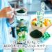 スピルリナ パウダー100% 500g スーパーフード 藻 健康食品 Spirulina 【税込3,000円以上送料無料】 ポイント利用 爆買 関連画像3