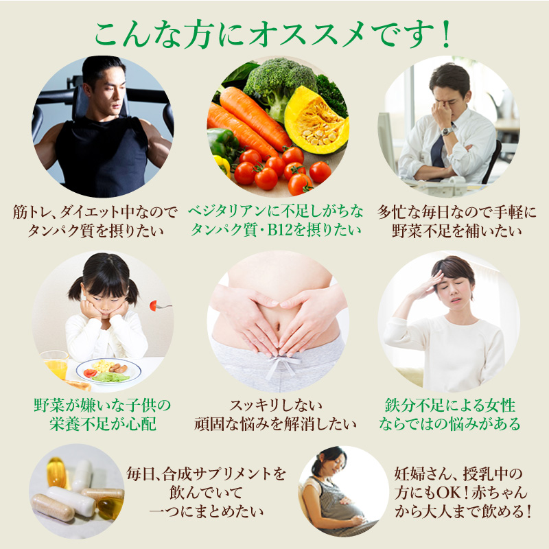 スピルリナ パウダー100％ 500g スーパーフード 藻 健康食品 Spirulina 【税込3,000円以上送料無料】 ポイント利用 爆買 | スピルリナ普及会 | 08