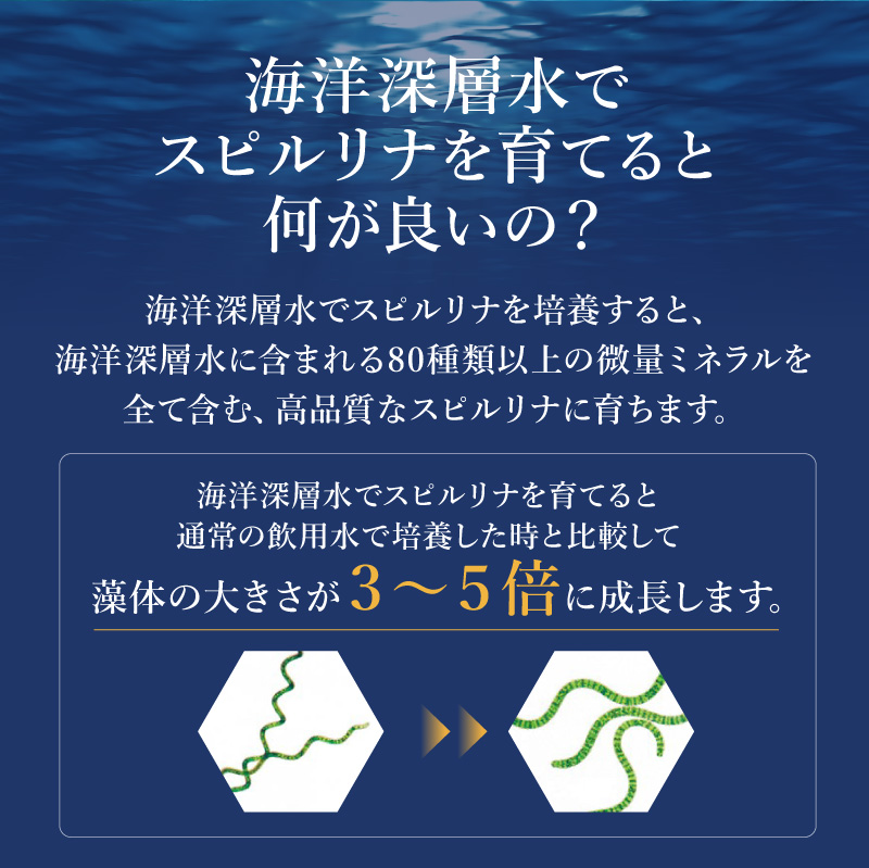 不老藻20 海洋深層水培養スピルリナ20％配合 サプリメント 藻 BCAA 健康食品 Spirulina｜sp100｜12