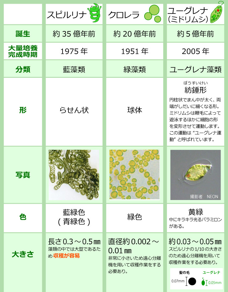 スピルリナ・クロレラ・ユーグレナを比較してみよう! - スピルリナ普及会 Yahoo!店 - 通販 - Yahoo!ショッピング スピルリナ・クロレラ・ユーグレナを比較してみよう! - スピルリナ普及会 Yahoo!店 - 通販 - Yahoo!ショッピング