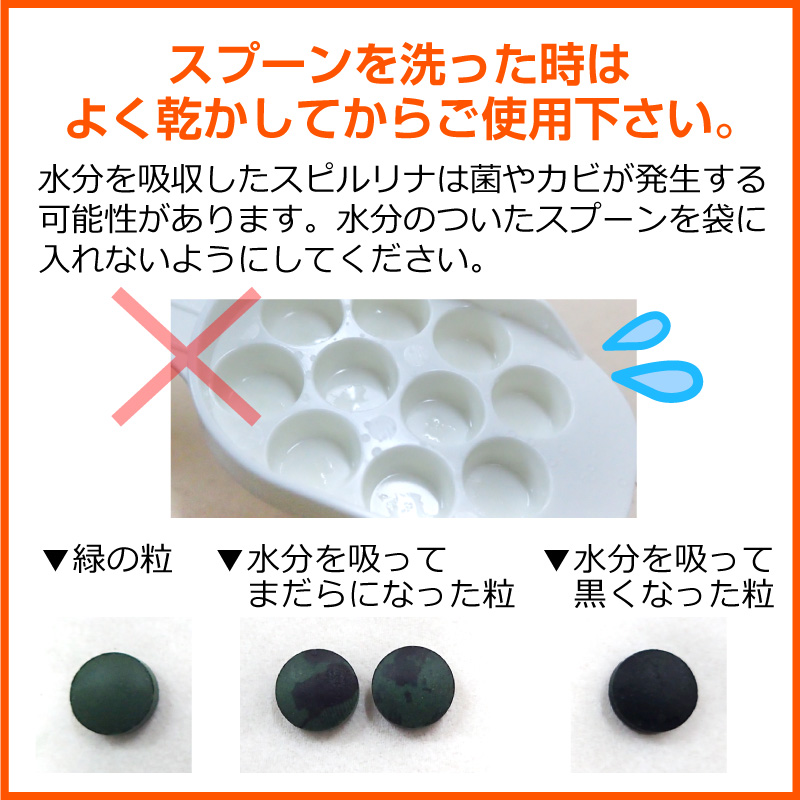 スピルリナ用10粒スプーン Spirulina ポイント利用 爆買 関連画像4