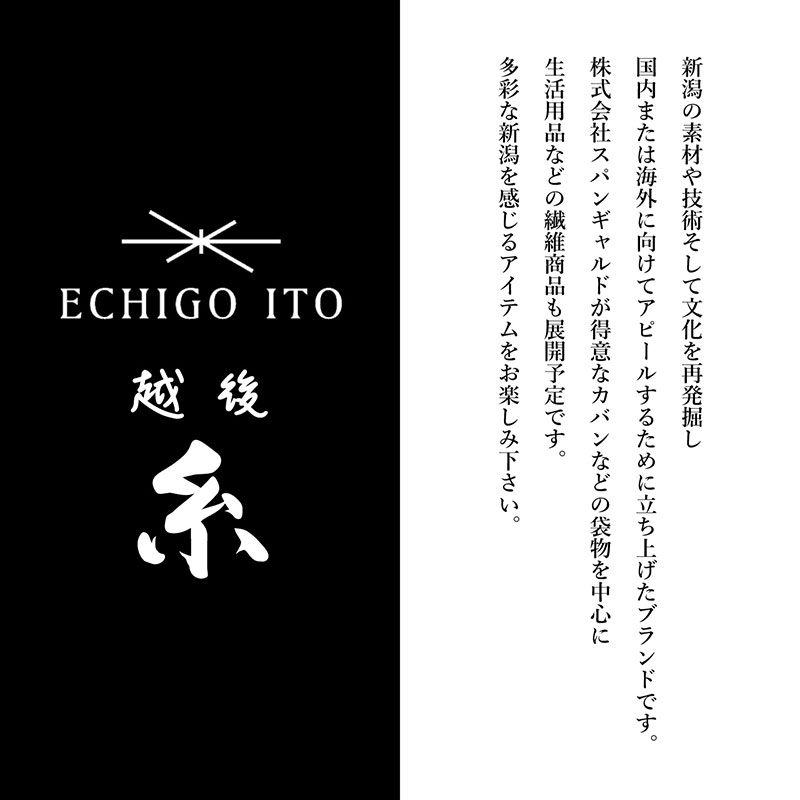 ハンカチ タオル 手拭い 全38枚セット 日本酒 越後糸 たからやま醸造 メンズ レディース #eg324002の画像