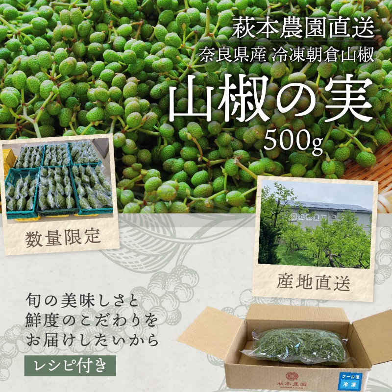 SPANION 実山椒 500g 冷凍 朝倉山椒 奈良県産 山椒の実 山椒 冷凍山椒