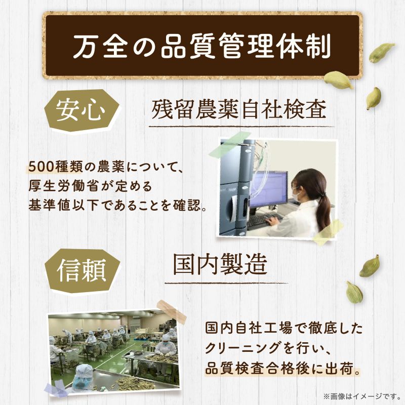 SPANION カルダモン パウダー 100g チャック付袋 カルダモン パウダー
