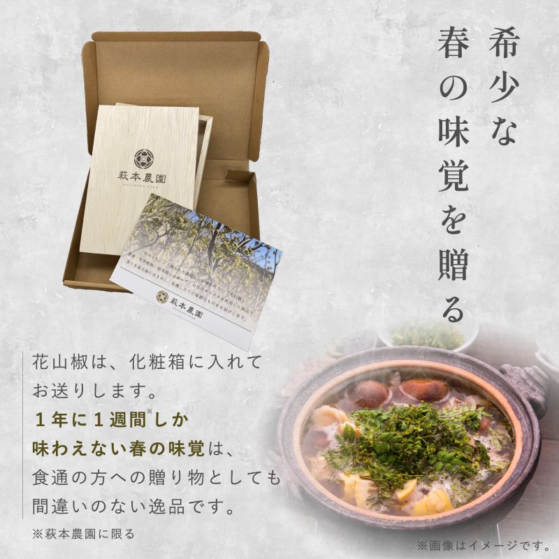 希少な春の味覚を贈る