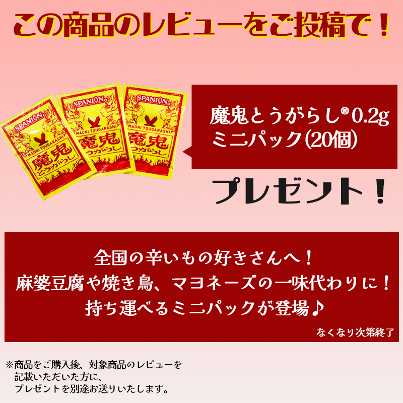 レビュープレゼント